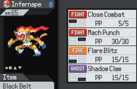 best nature for infernape|flare blitz infernape.